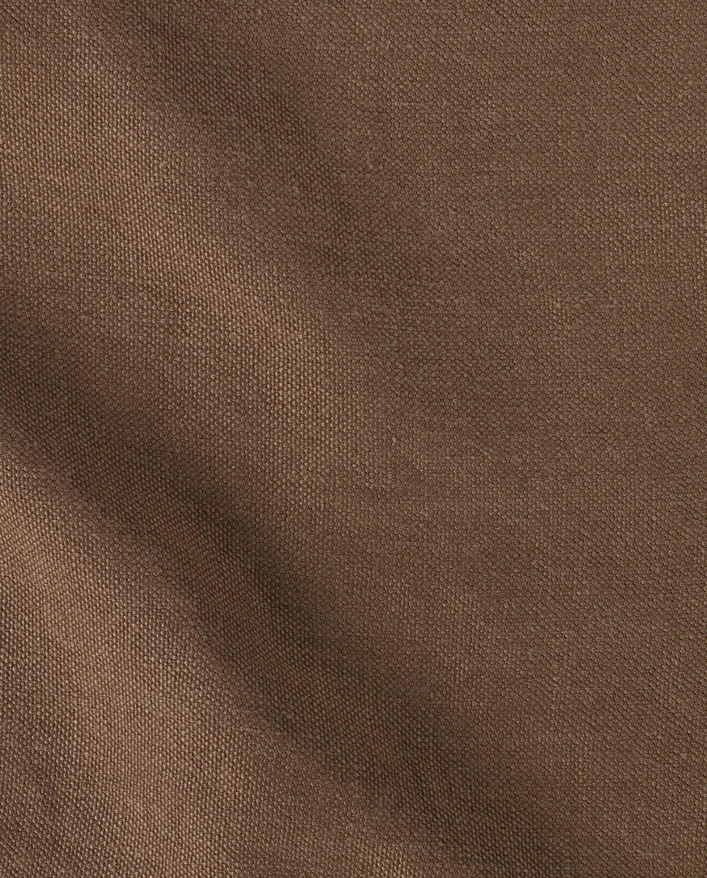 Acorn